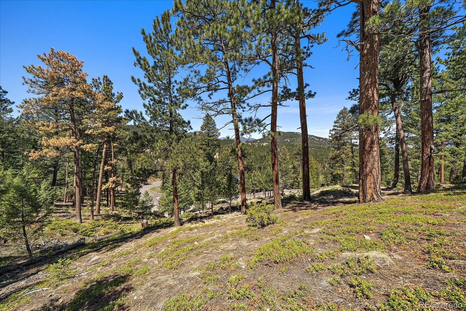 6875 Lynx Lair Road