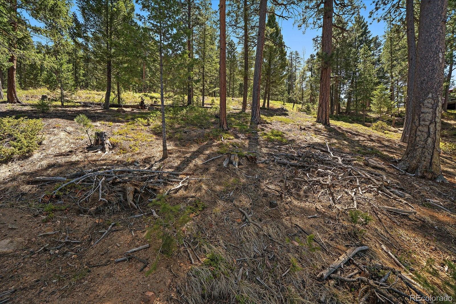 6875 Lynx Lair Road