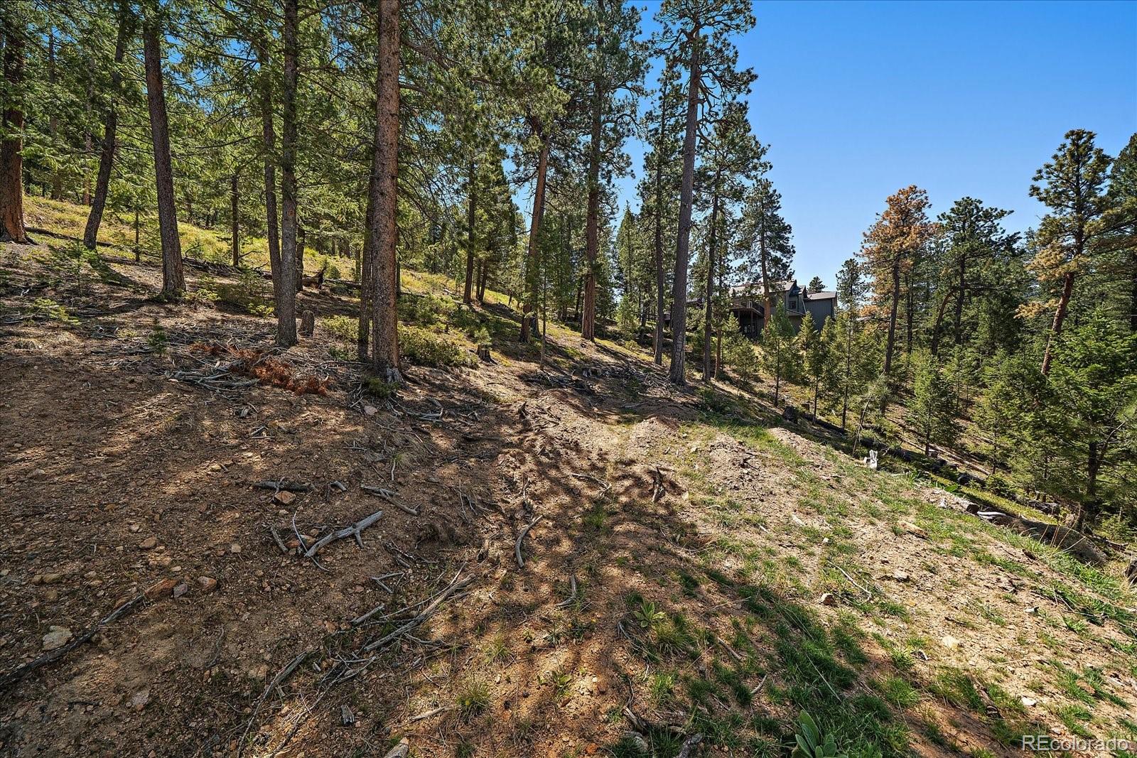 6875 Lynx Lair Road
