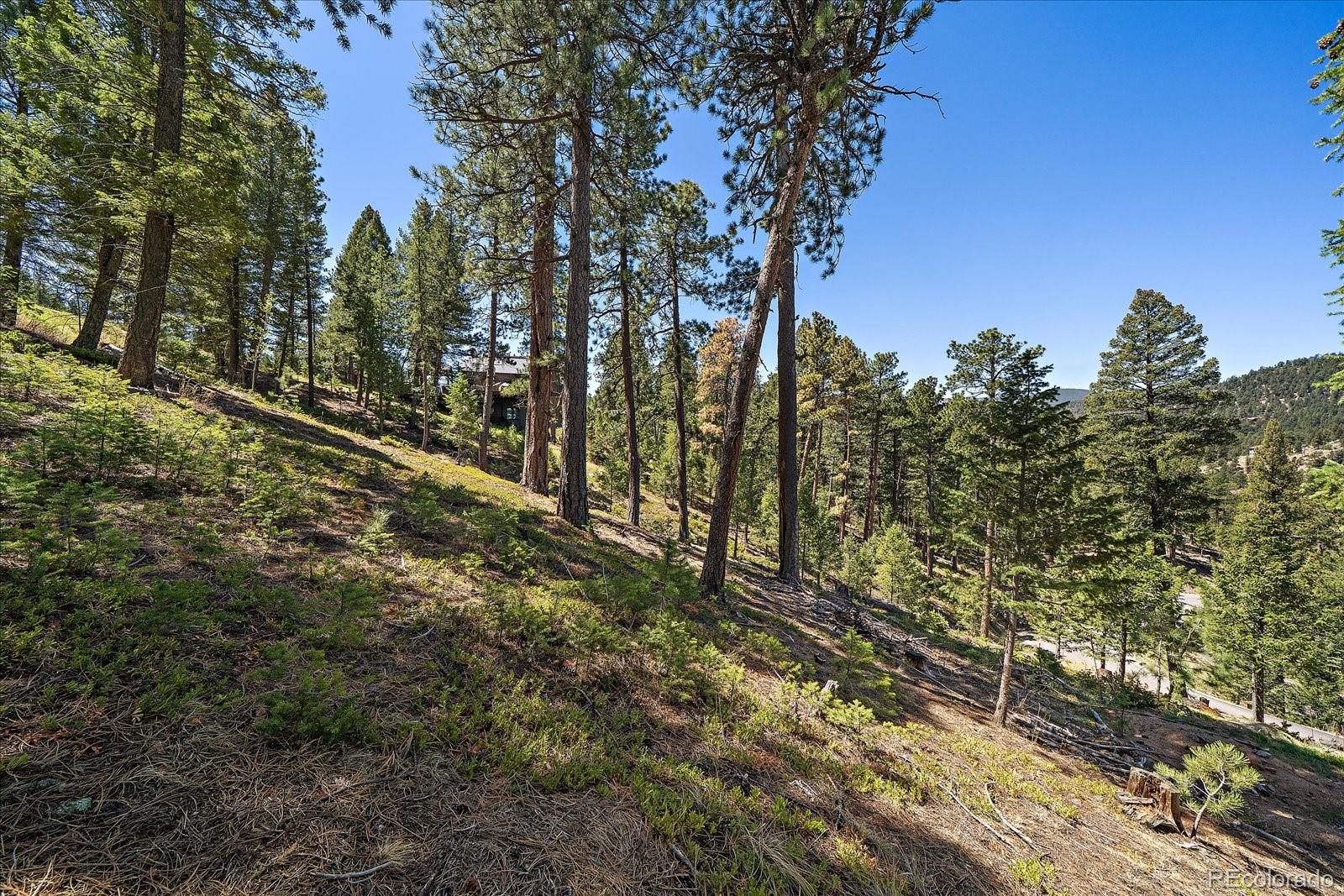 6875 Lynx Lair Road