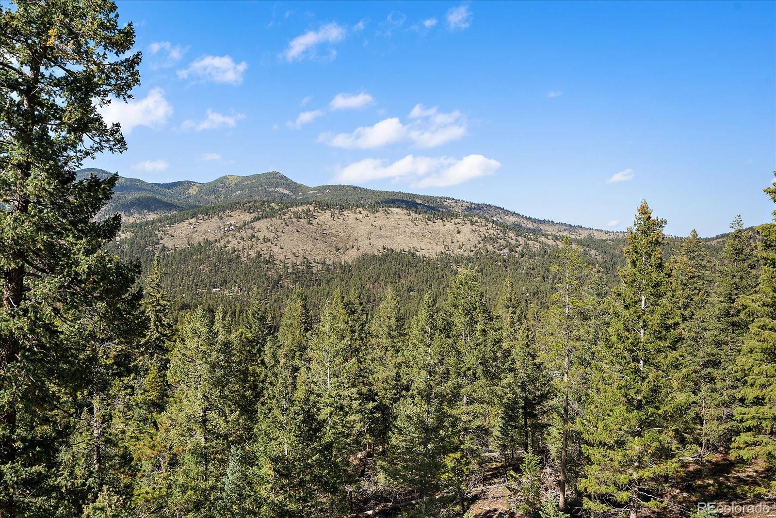 33884 Bergen View Trail