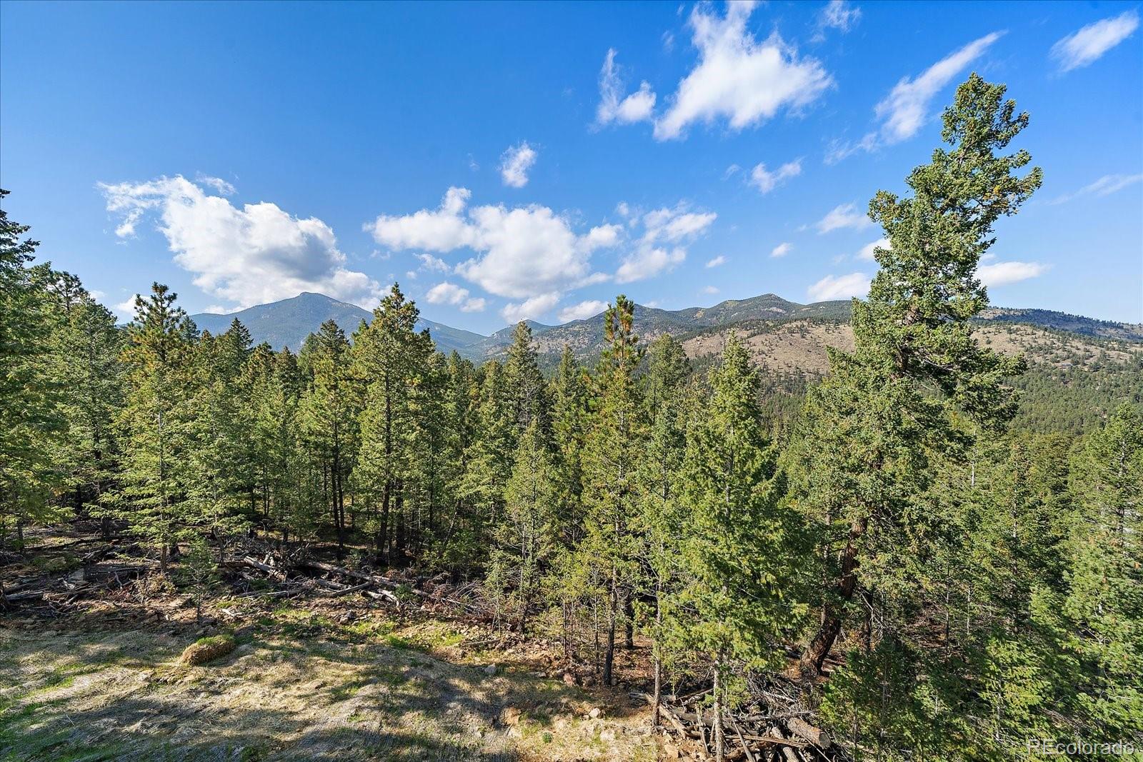 33884 Bergen View Trail