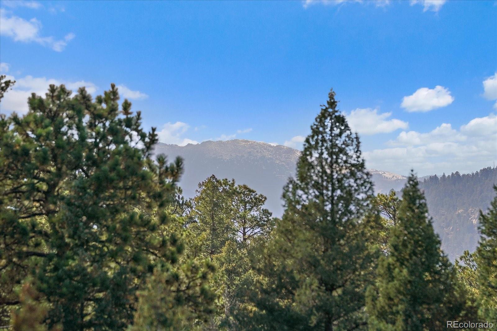 33884 Bergen View Trail