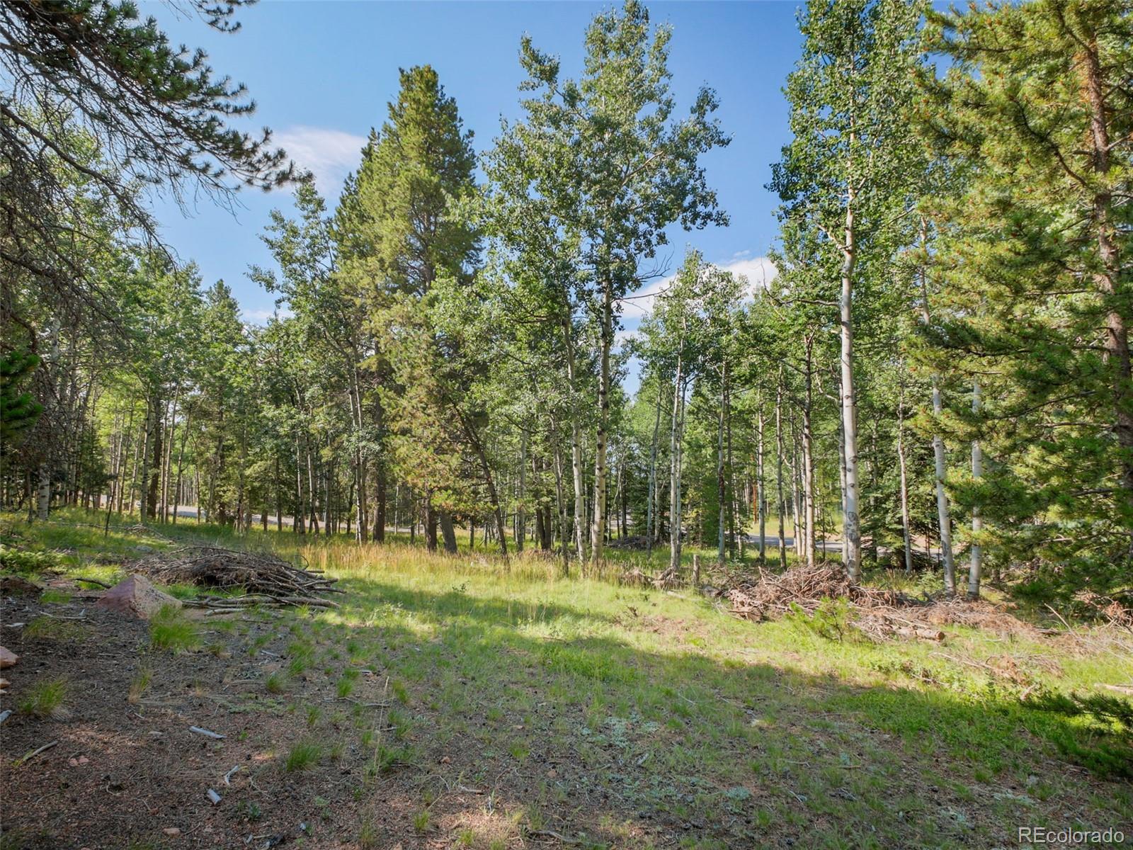 10852 Conifer Mountain Road