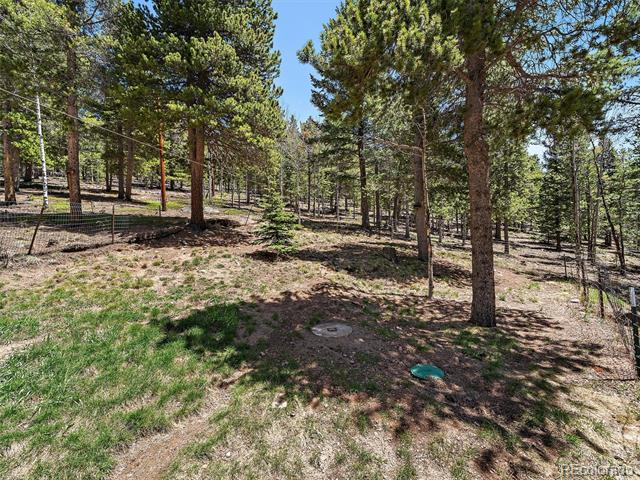 10852 Conifer Mountain Road