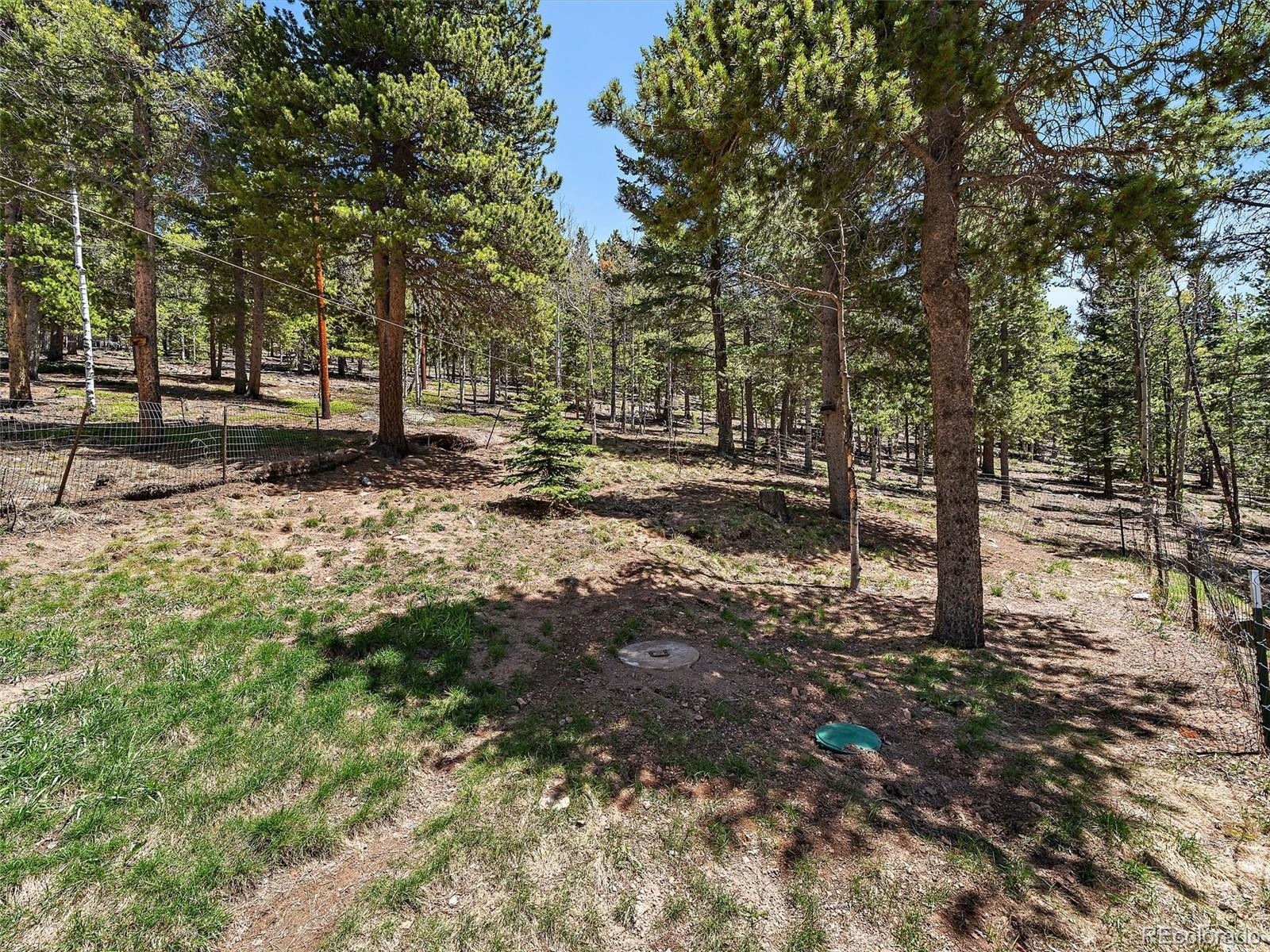 10852 Conifer Mountain Road