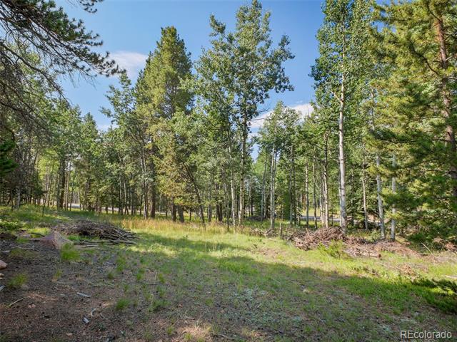 10852 Conifer Mountain Road