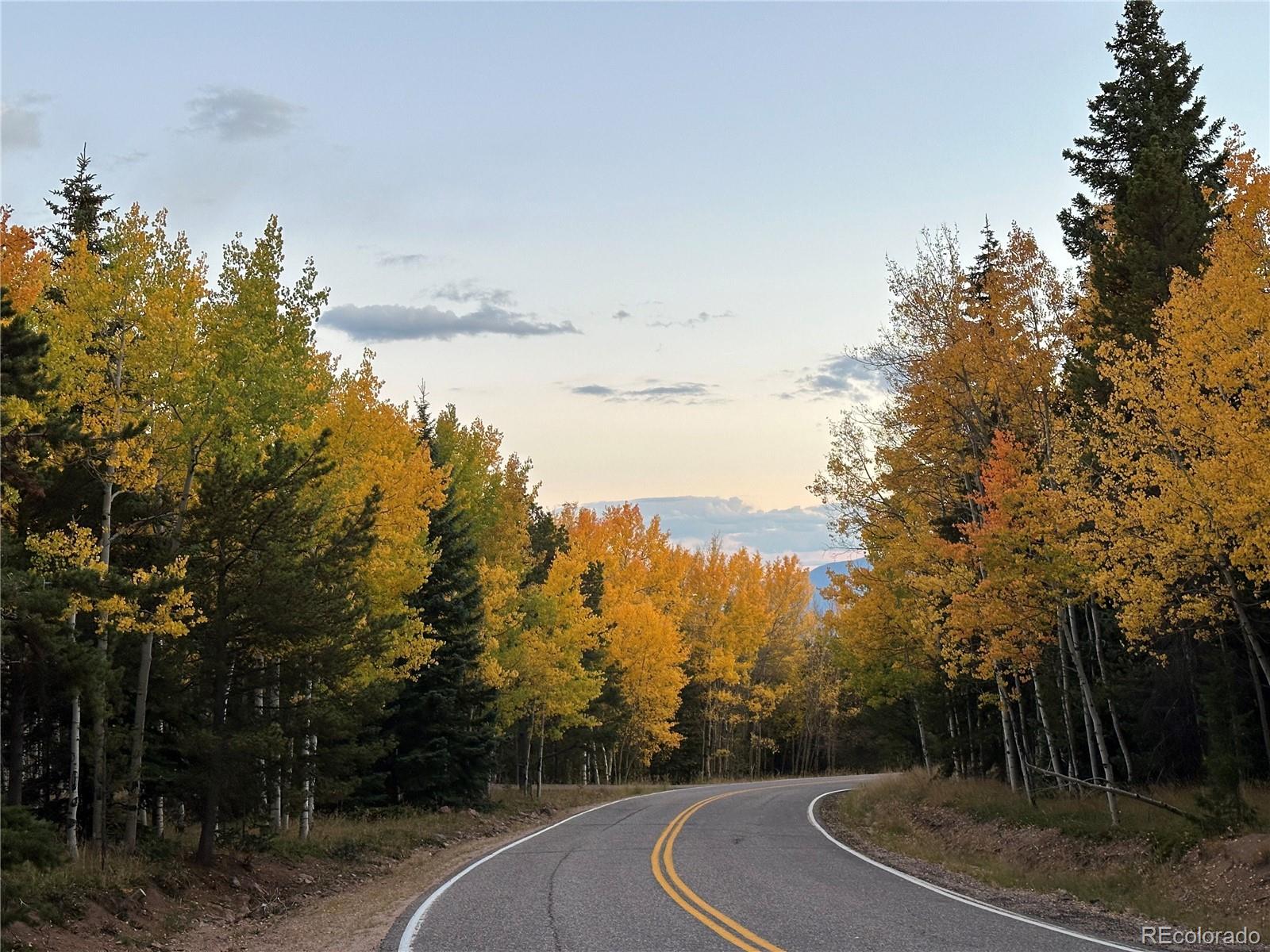 10852 Conifer Mountain Road