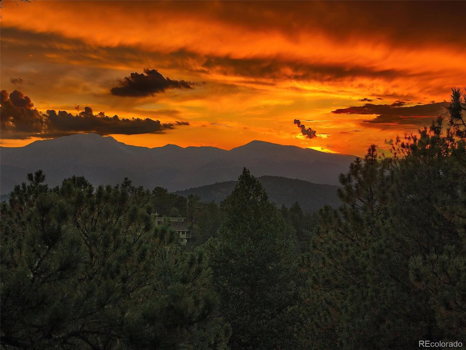 26959 Wild Flower Trail