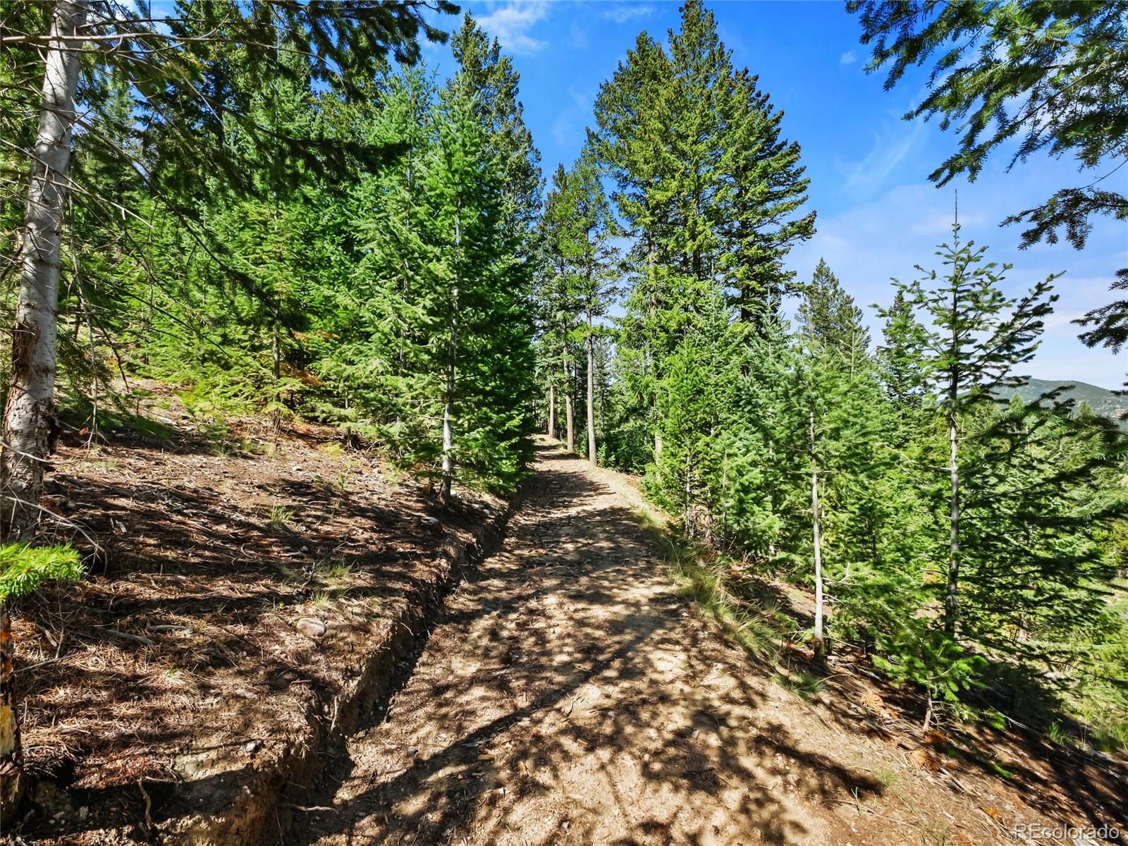 33992 Meadow Mountain Road