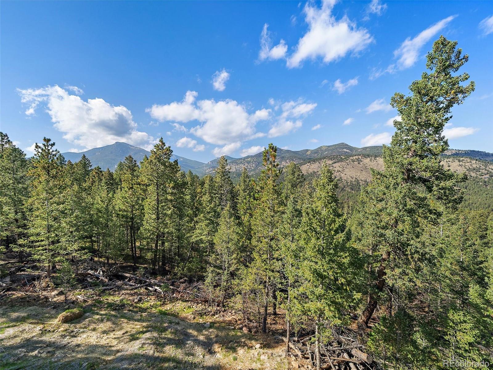 33884 Bergen View Trail