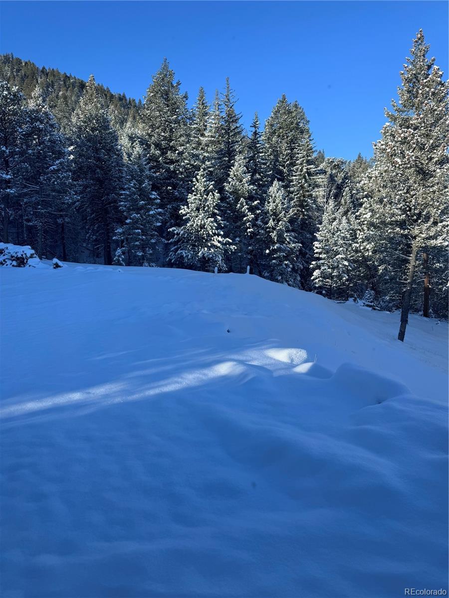 33884 Bergen View Trail