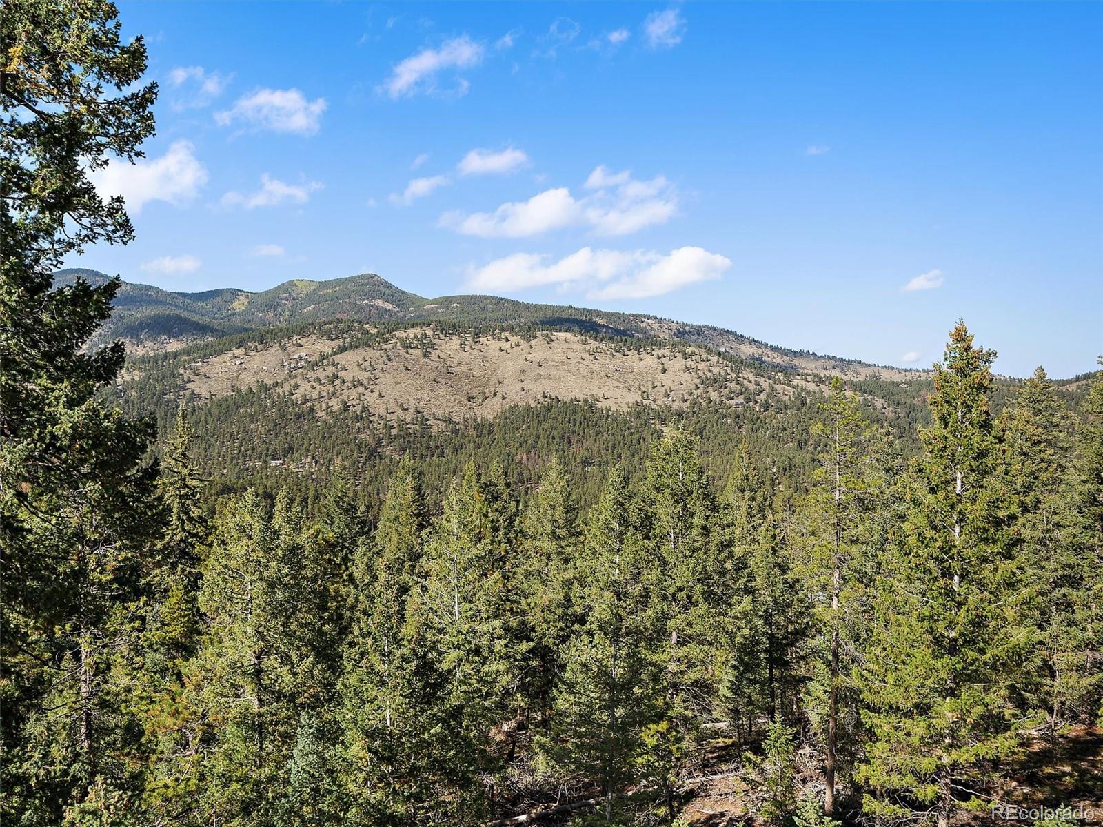 33884 Bergen View Trail