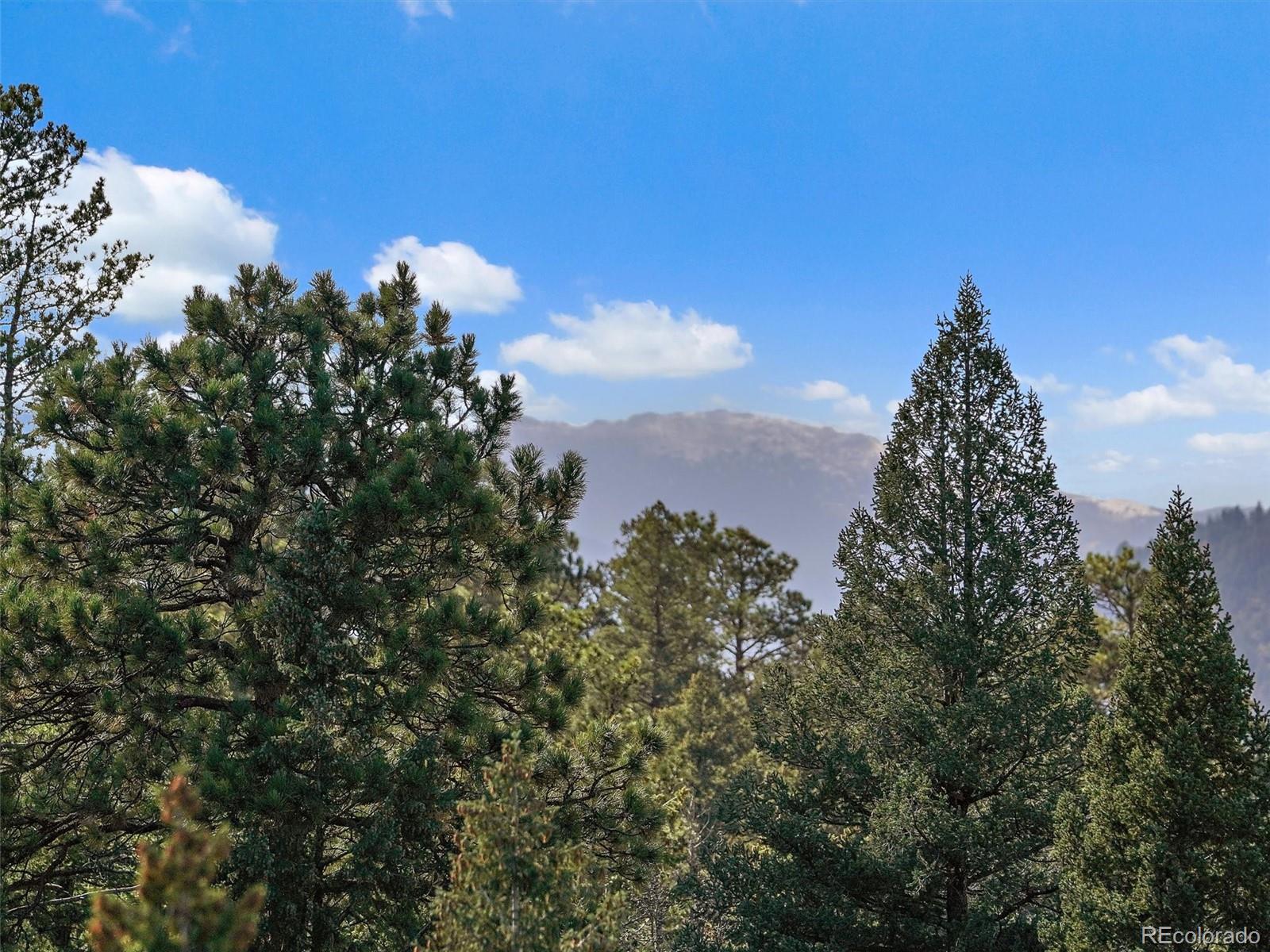 33884 Bergen View Trail