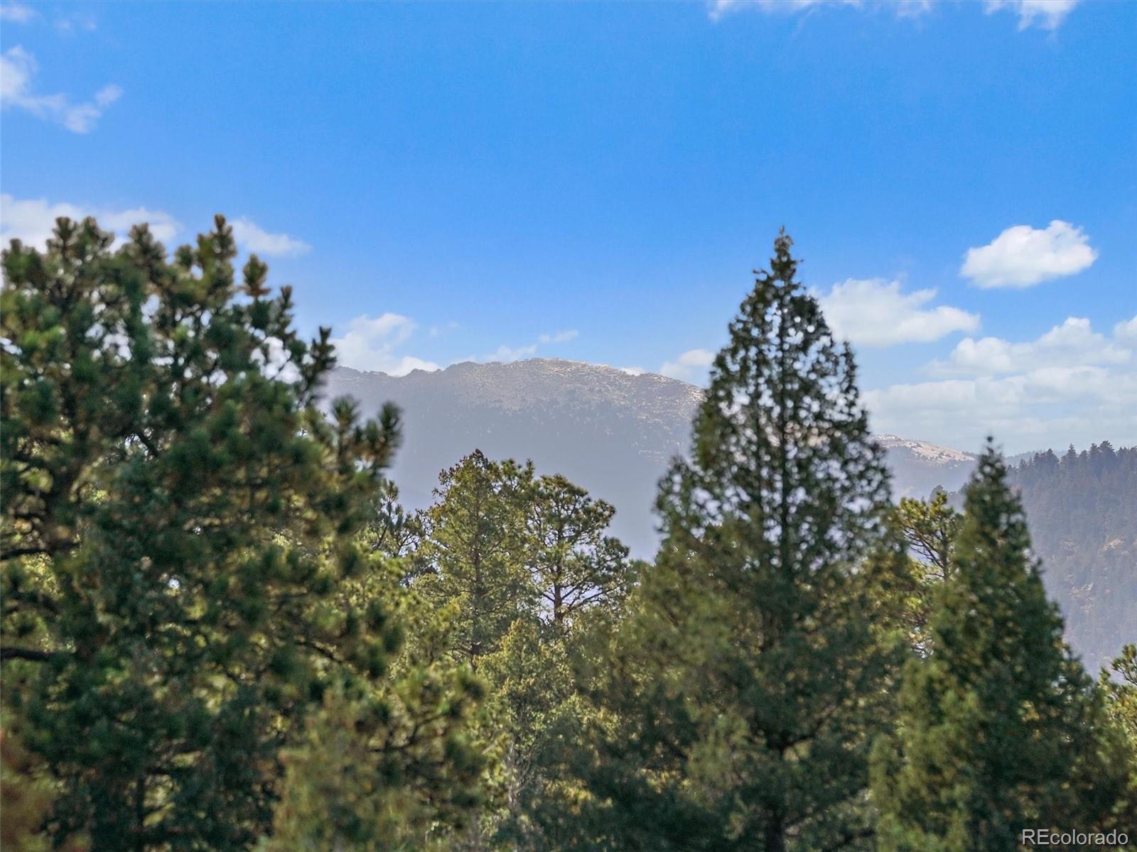 33884 Bergen View Trail