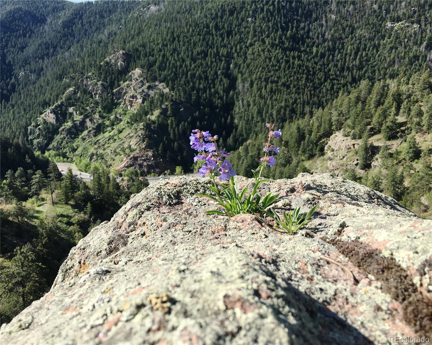 5162 Raven Gulch Road