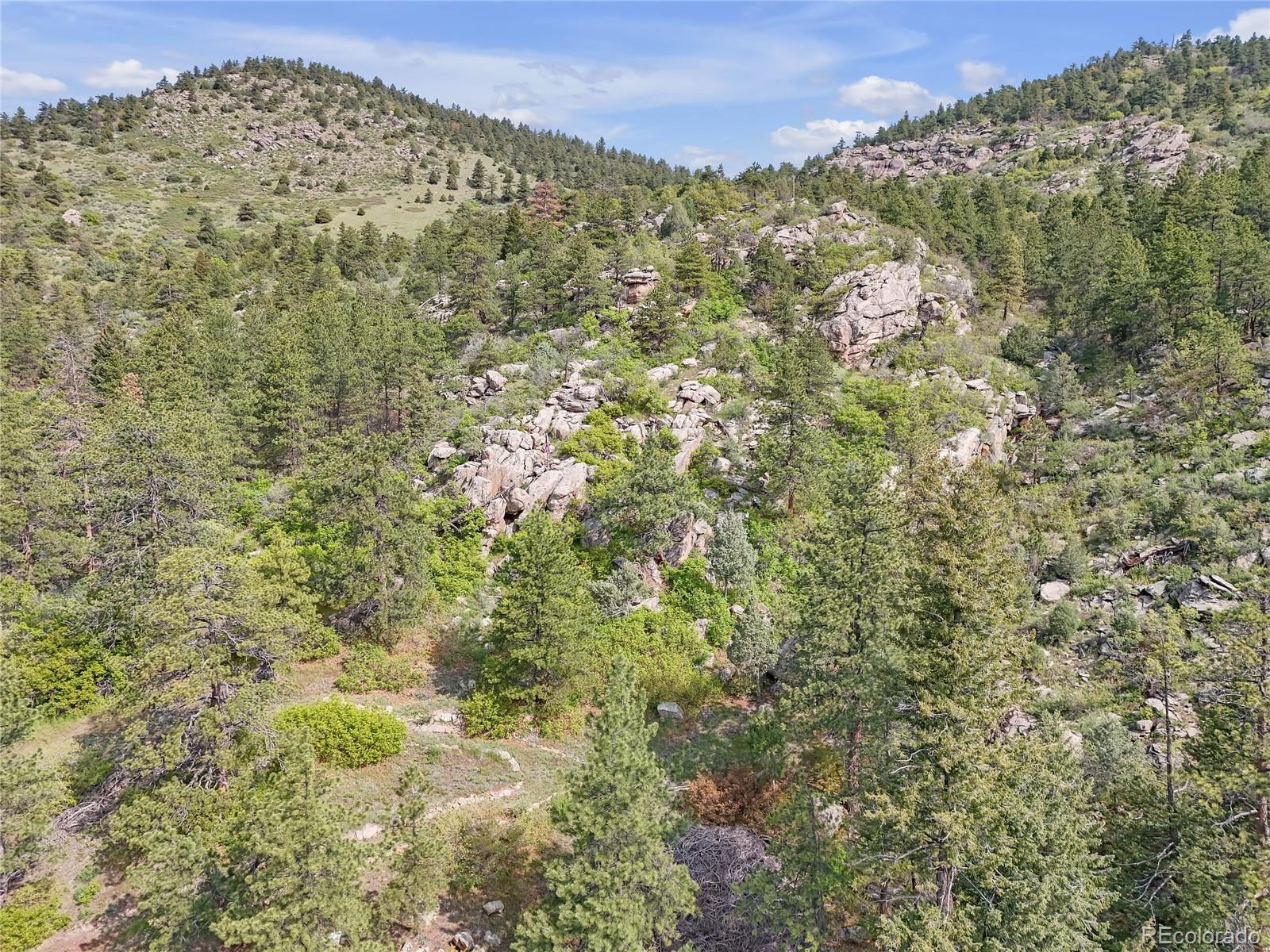 5162 Raven Gulch Road