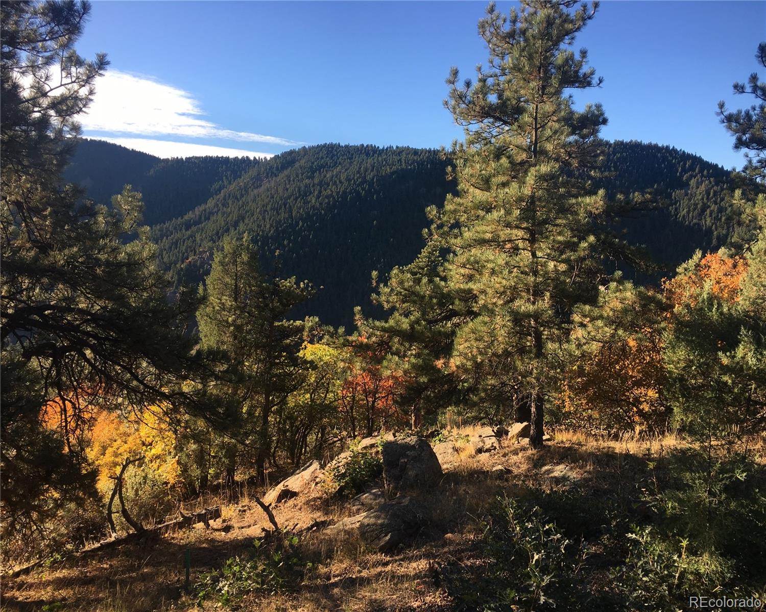 5162 Raven Gulch Road