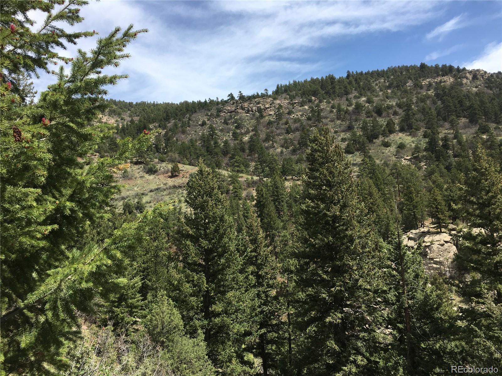 5162 Raven Gulch Road