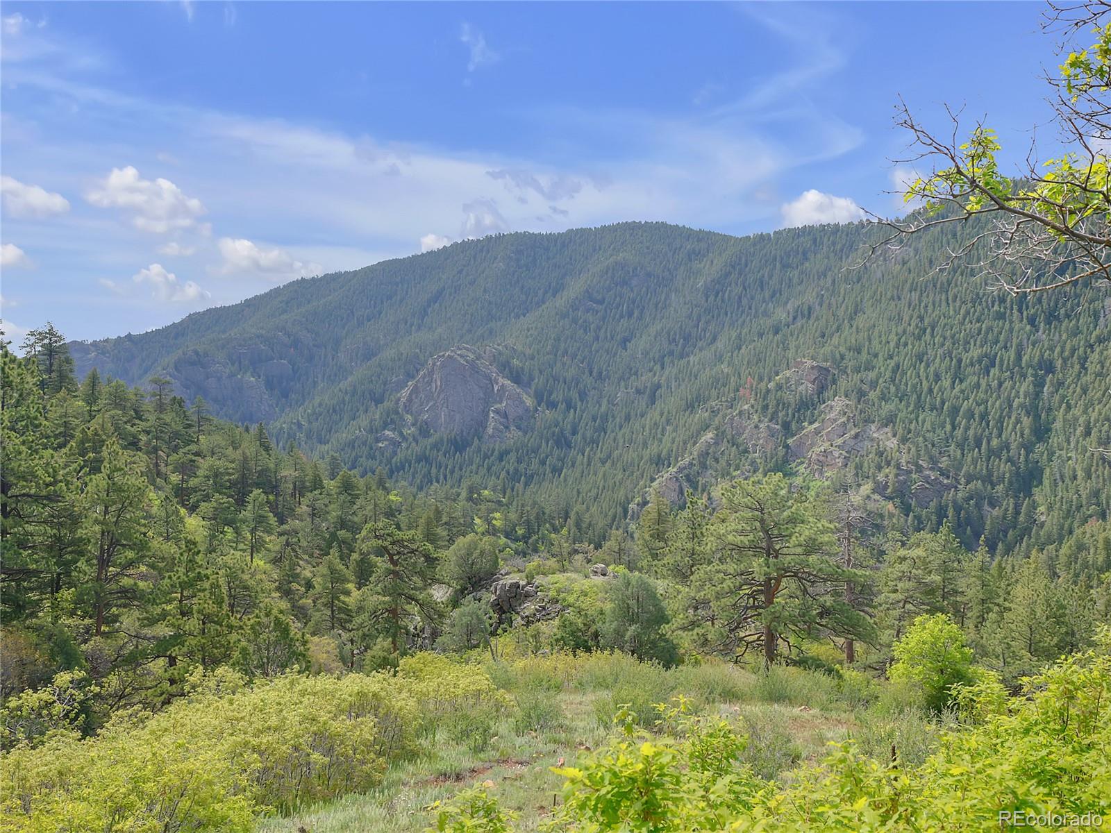 5162 Raven Gulch Road