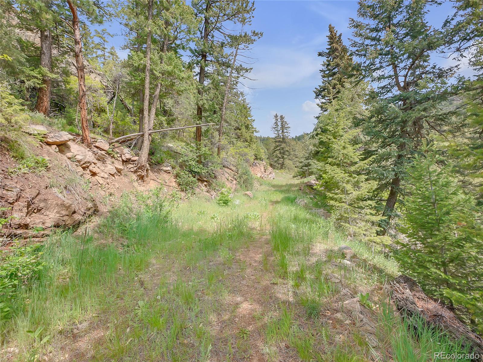 5162 Raven Gulch Road