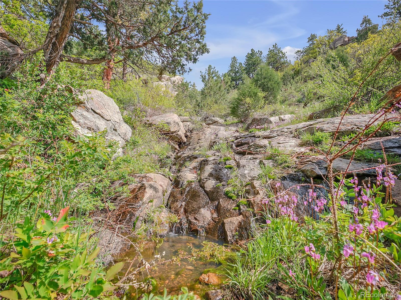 5162 Raven Gulch Road
