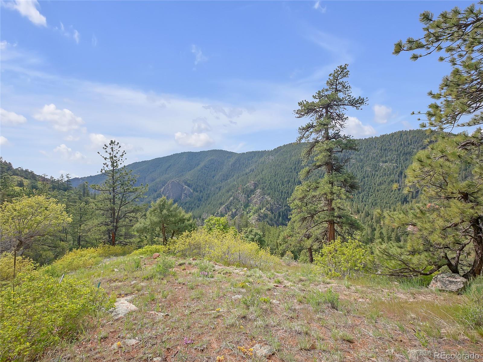 5162 Raven Gulch Road
