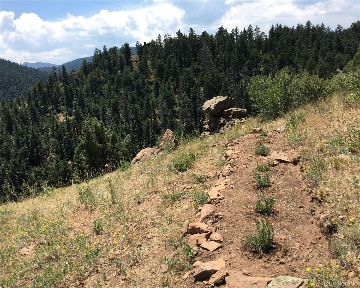 5162 Raven Gulch Road