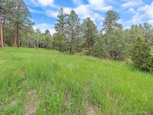 29320 S Sunset Trail