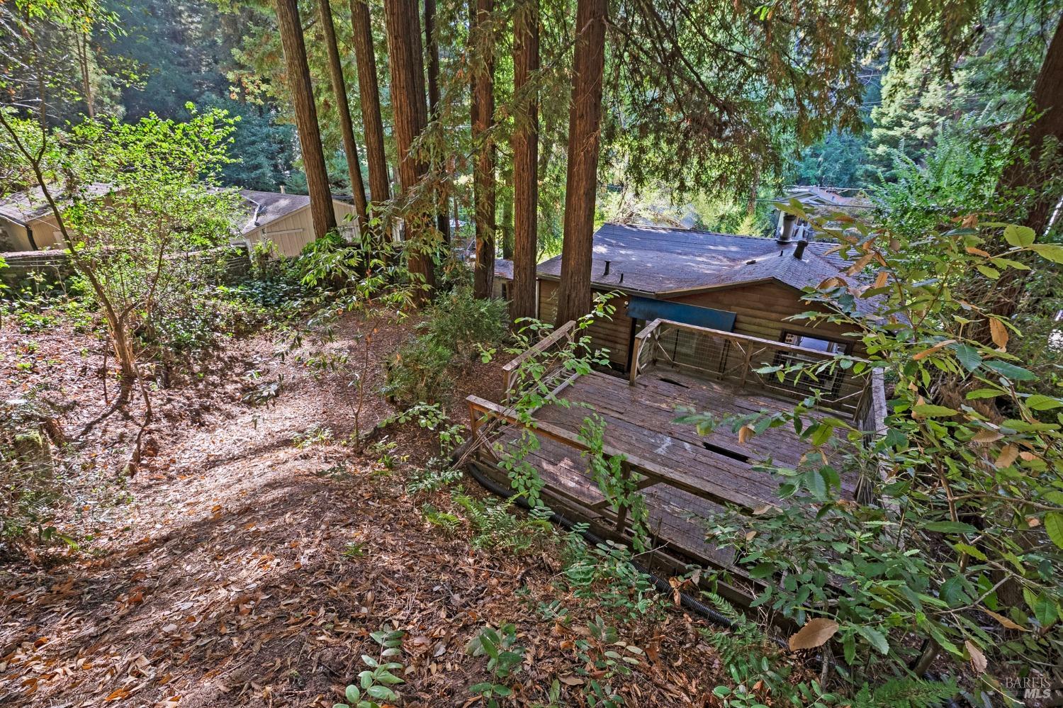 14701 Old Cazadero Road