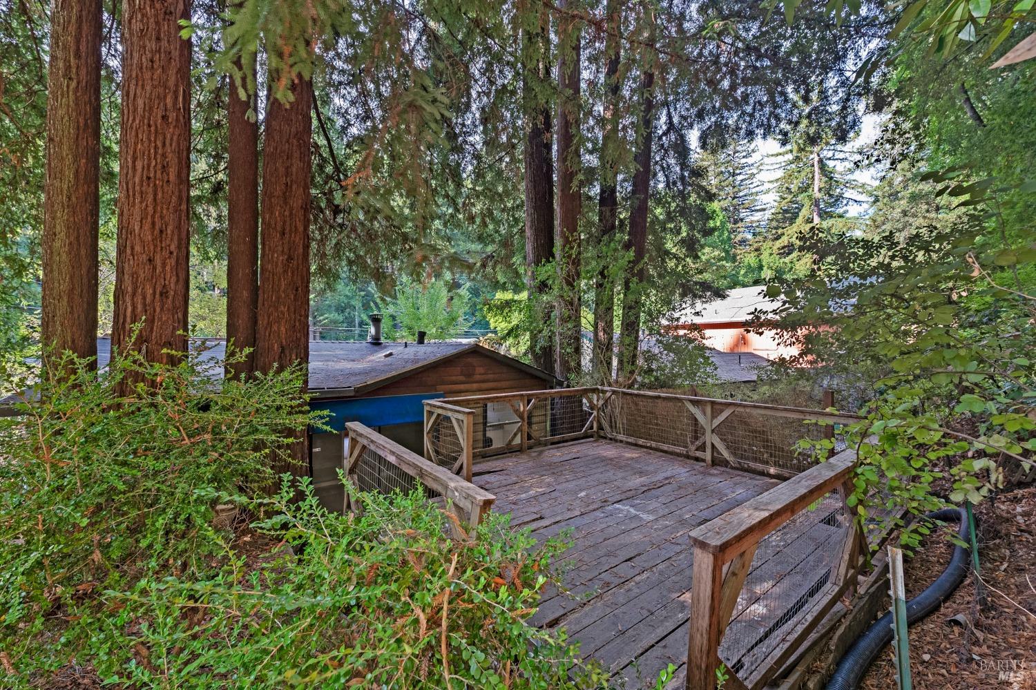 14701 Old Cazadero Road
