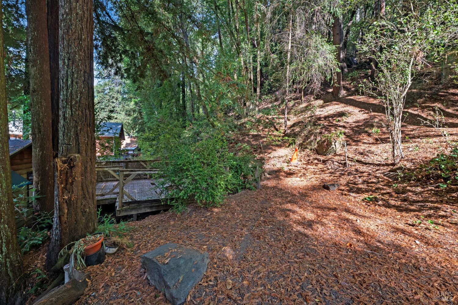 14701 Old Cazadero Road