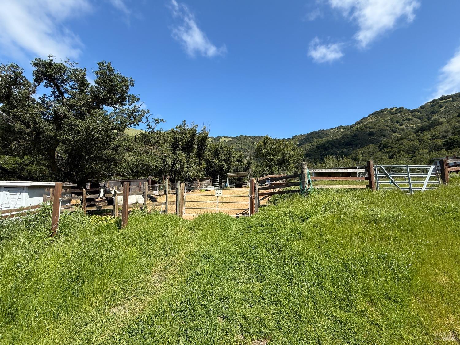 71 Mount Rainier Drive