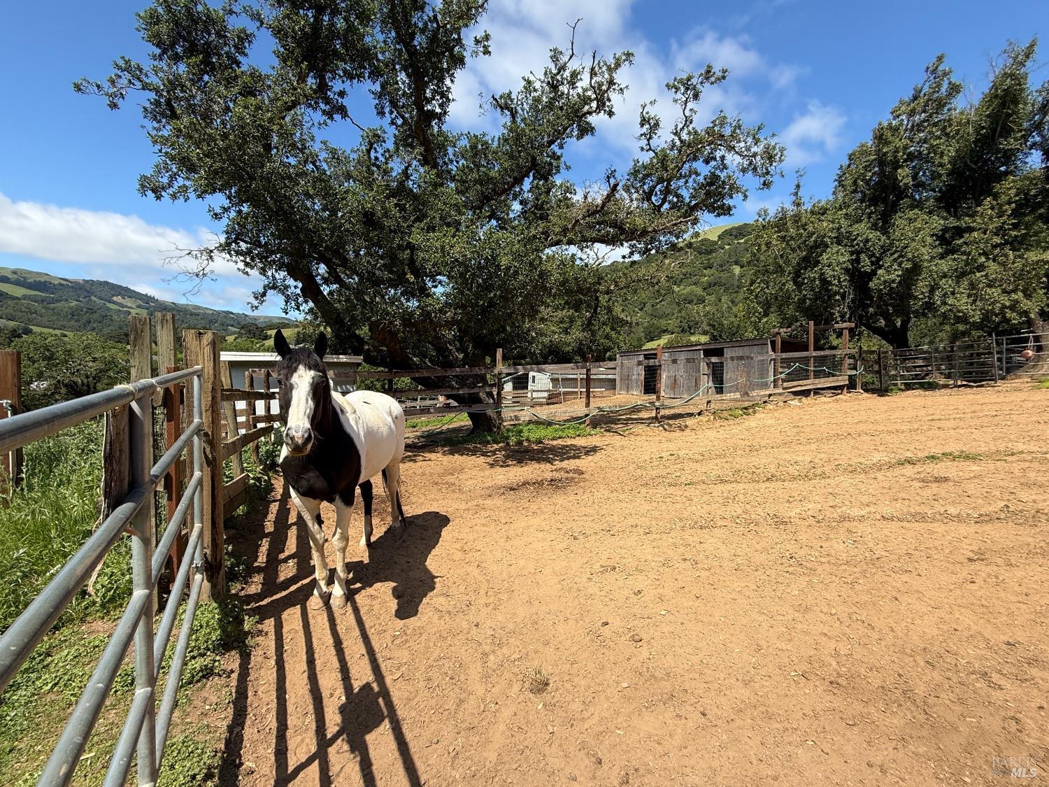 71 Mount Rainier Drive