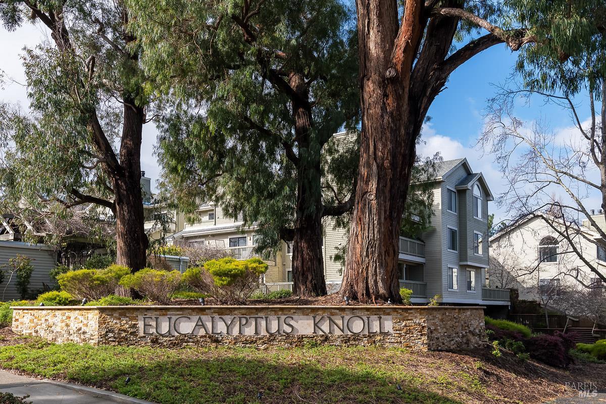 36 Eucalyptus Knoll St