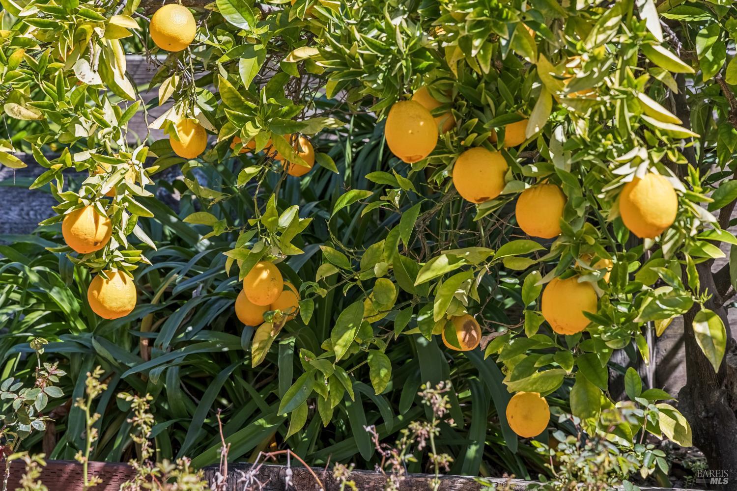 320 Alameda De La Loma