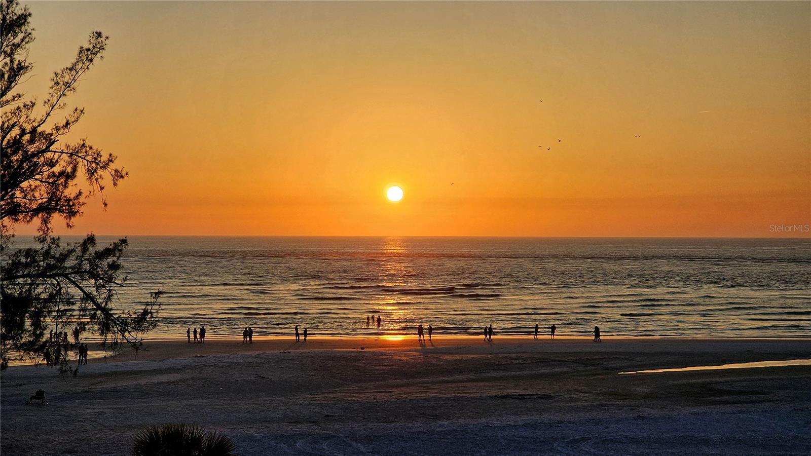 20 WHISPERING SANDS DR #406