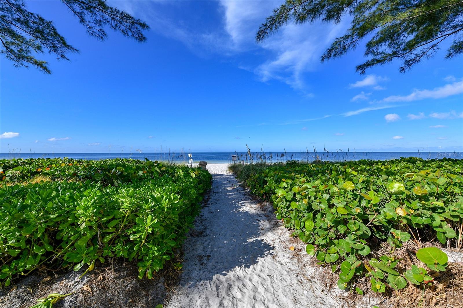 4725 GULF OF MEXICO DR #212