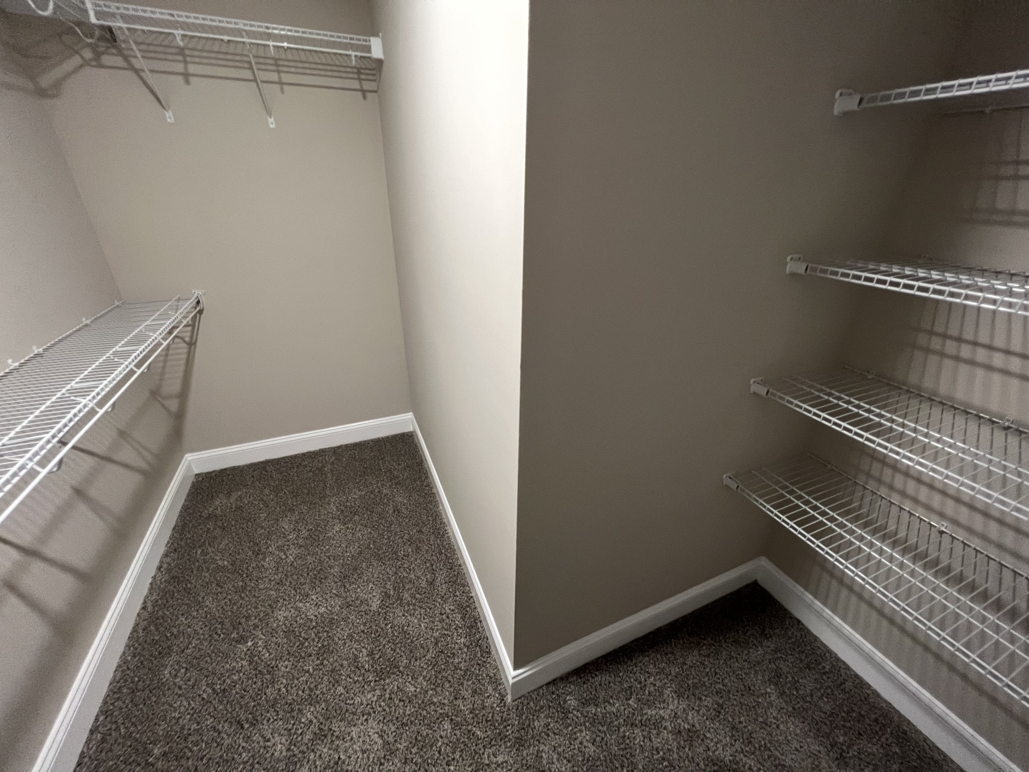 246 Timber Springs