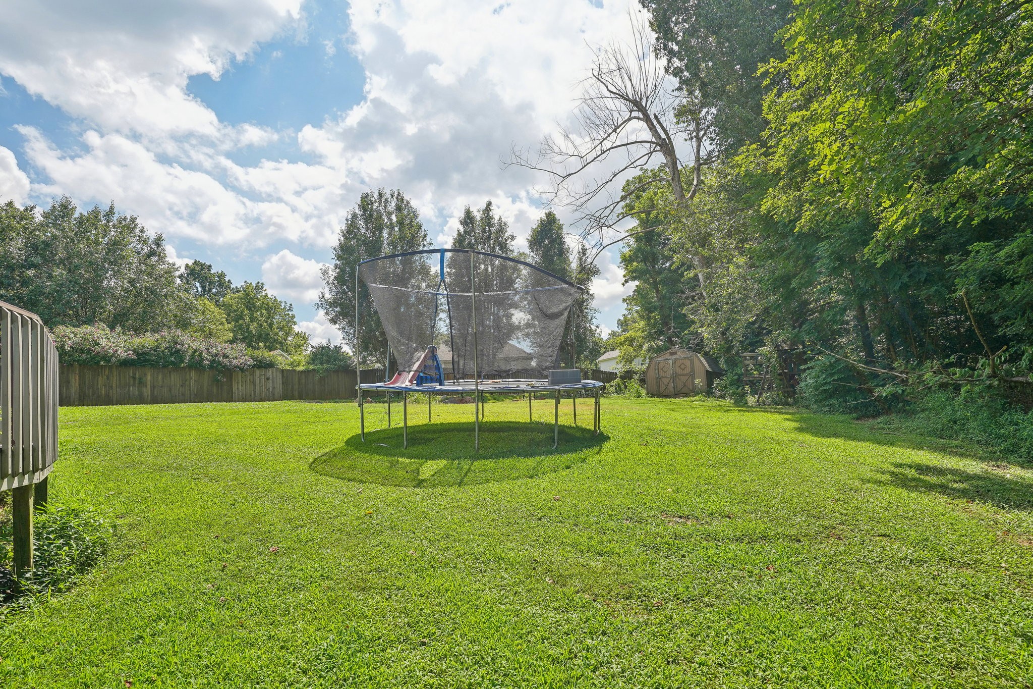 3558 Shoveler Ct