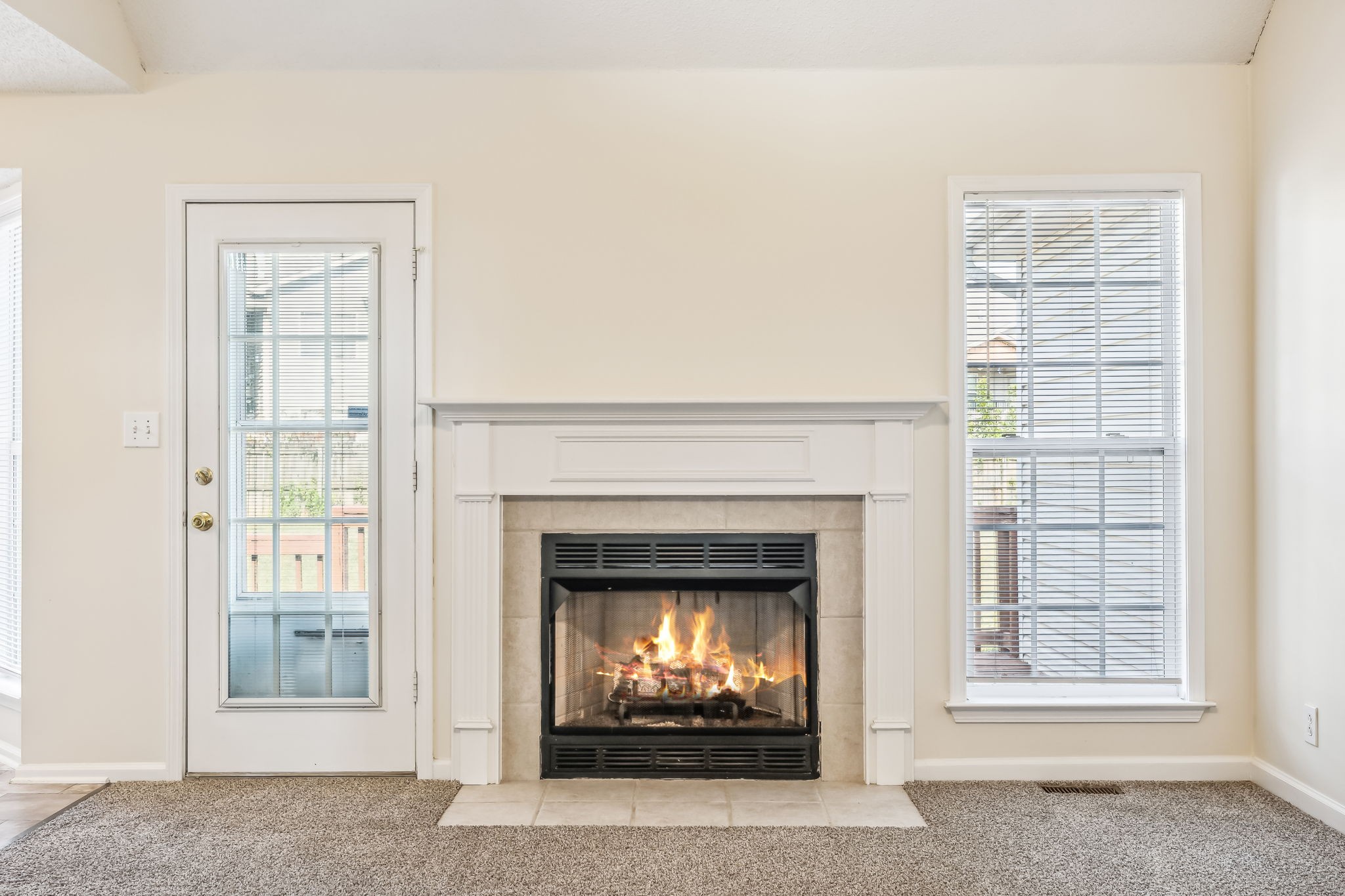 1407 Cedar Springs Cir