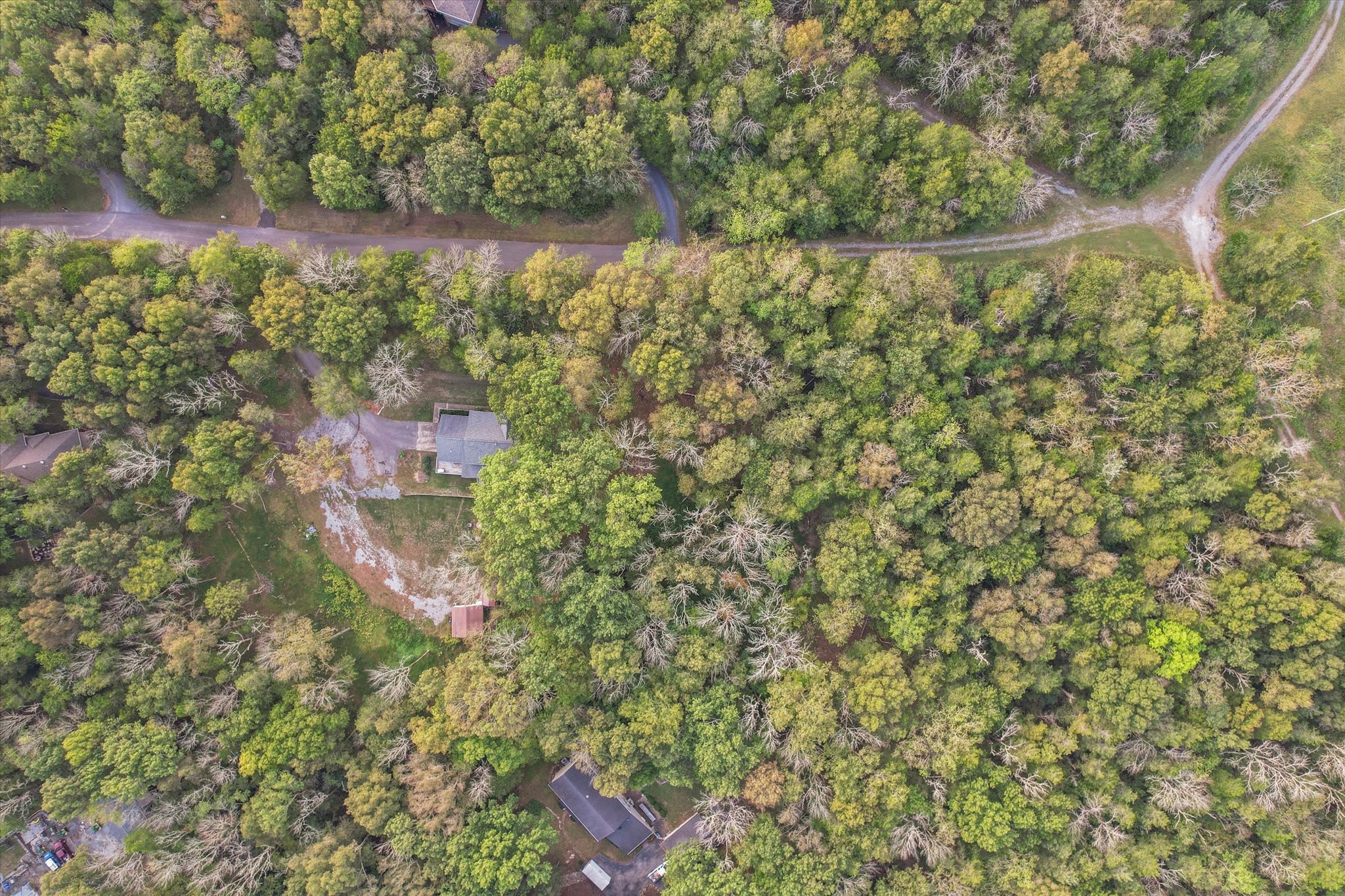 39 Diemer Rd