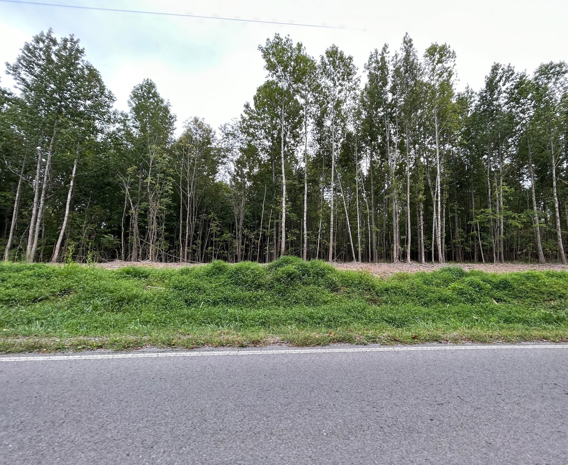 18 Gholson Rd