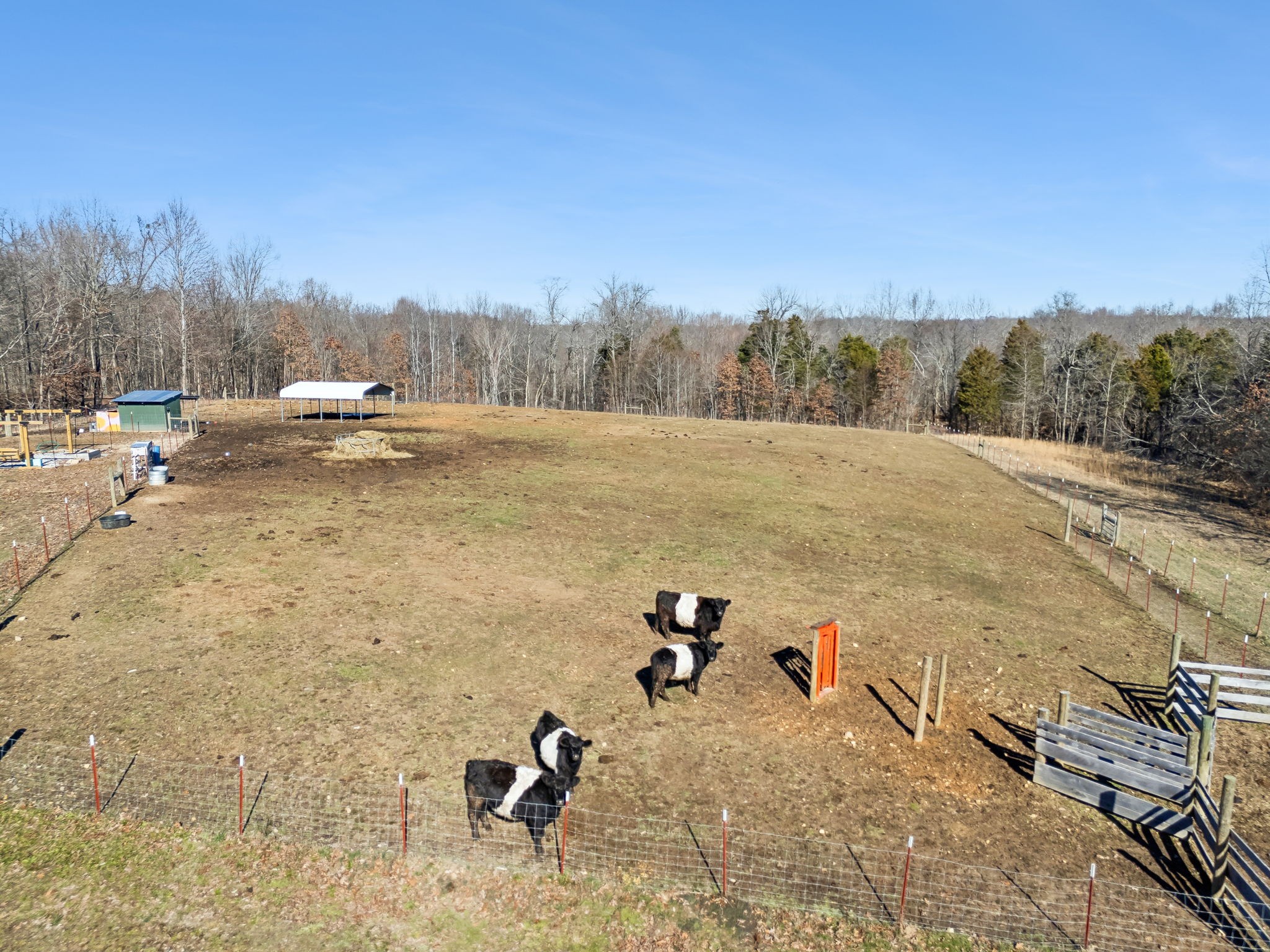 93 Halliburton Rd