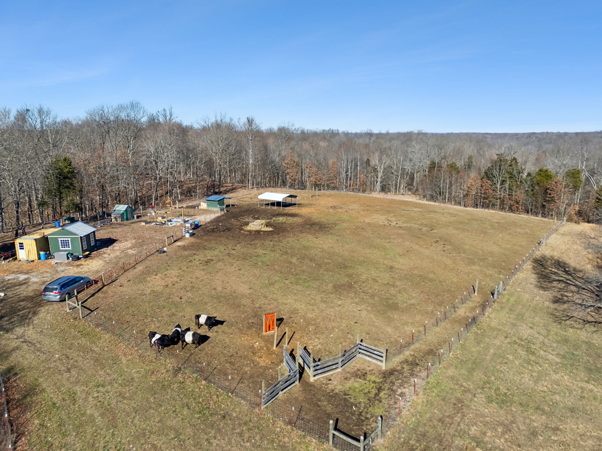 93 Halliburton Rd