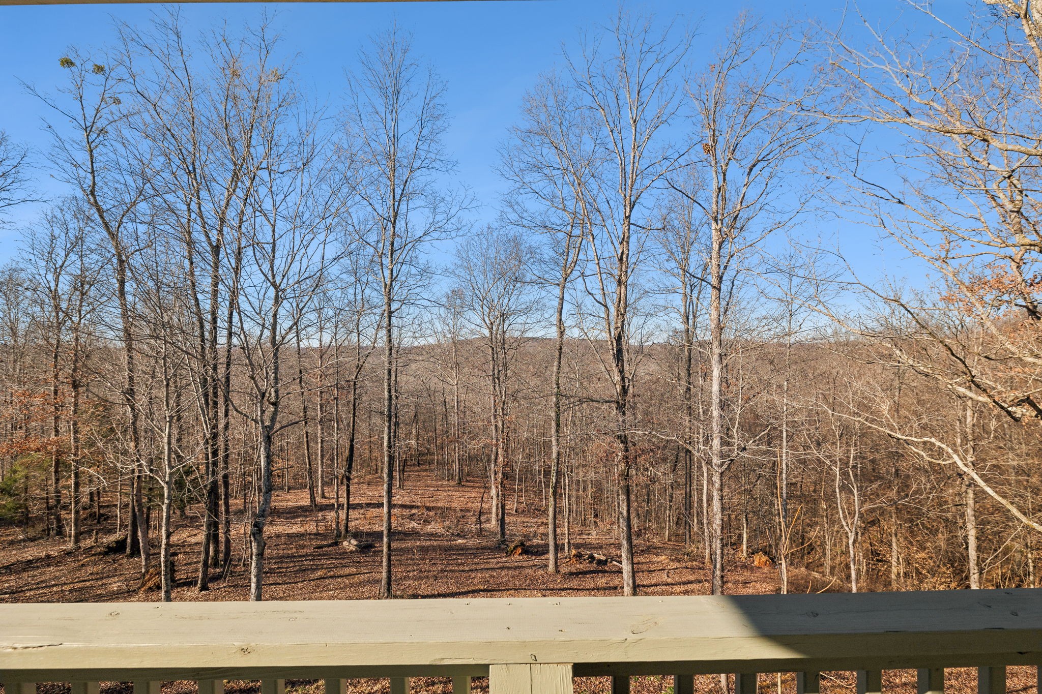 93 Halliburton Rd