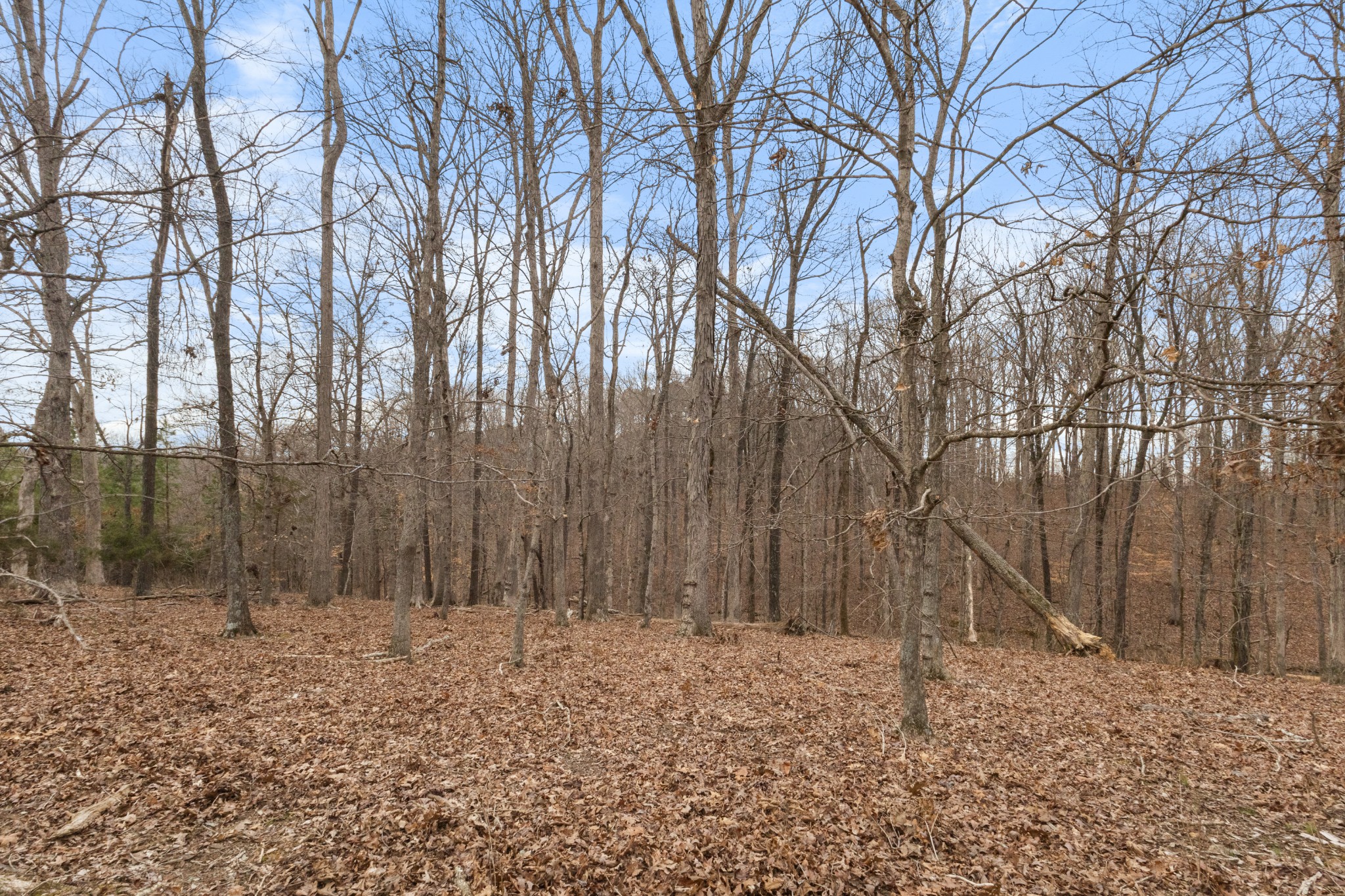 424 Walker Ridge Rd