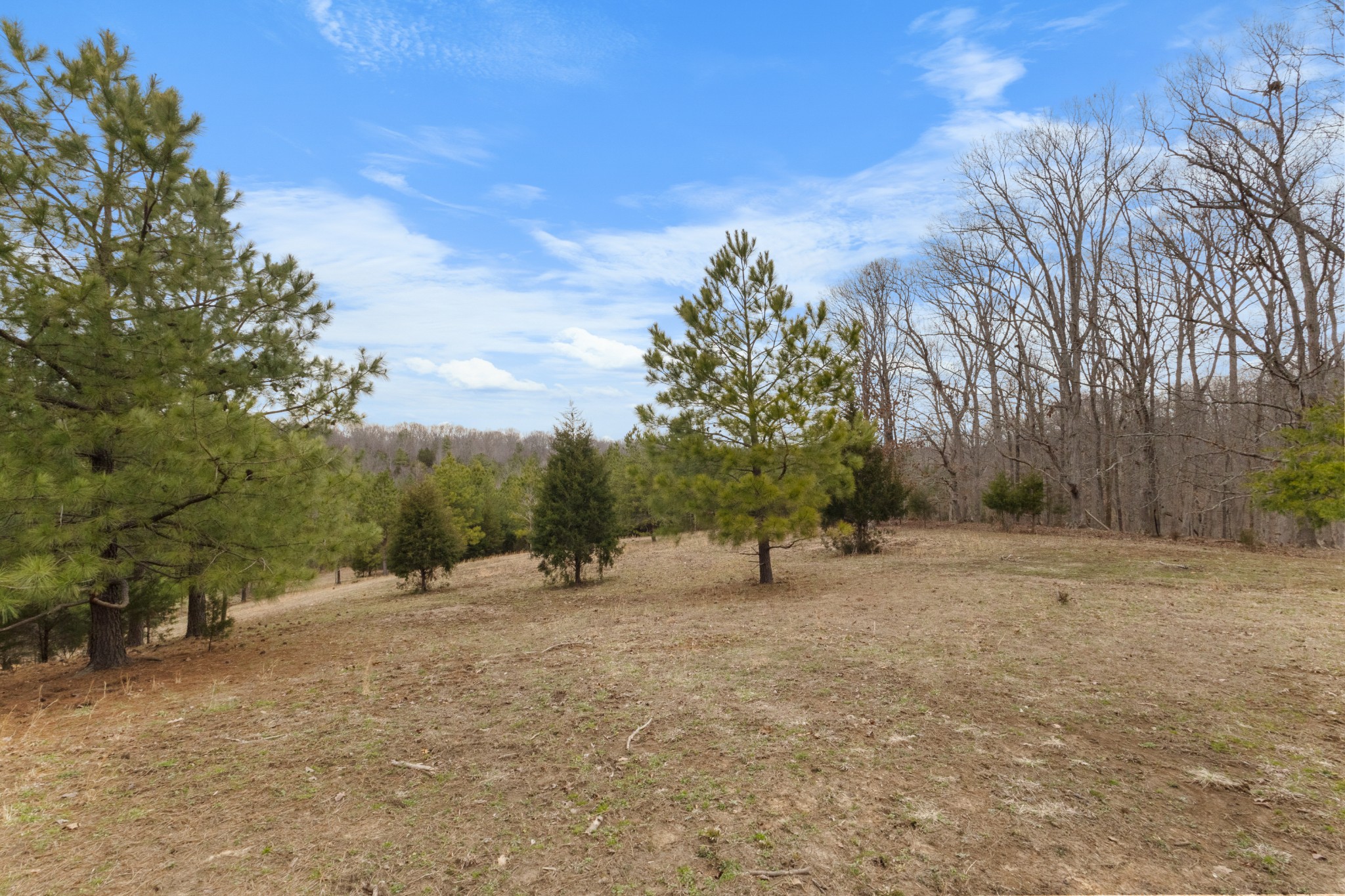 424 Walker Ridge Rd