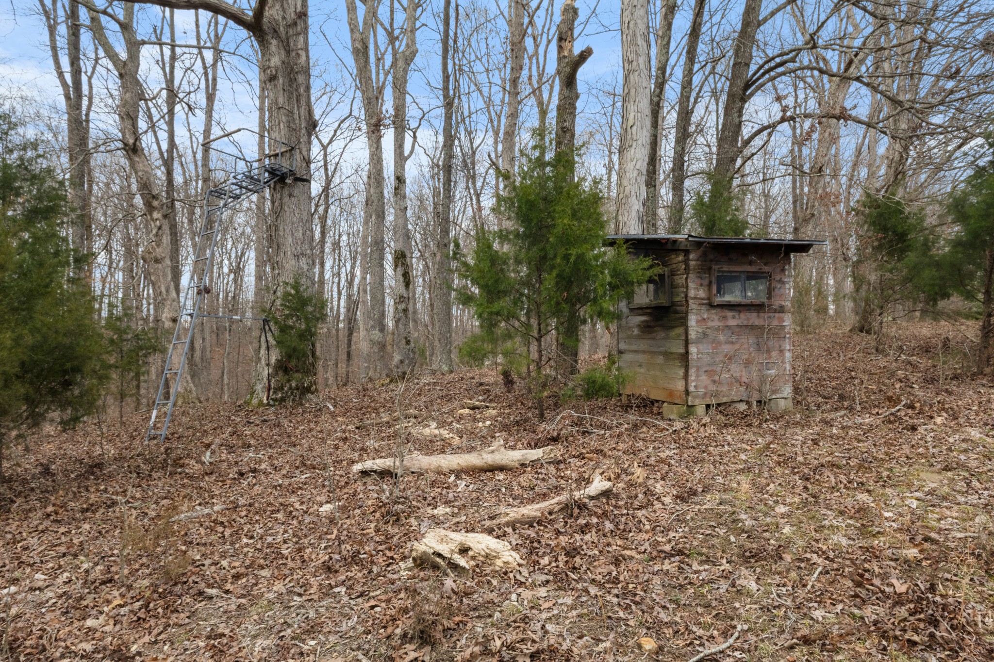 424 Walker Ridge Rd