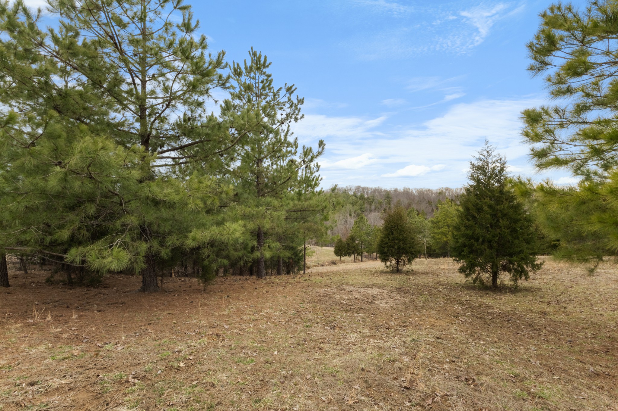 424 Walker Ridge Rd